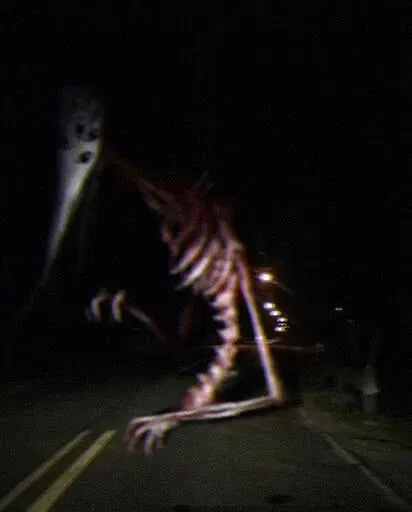Avatar of God of Roadkill 
