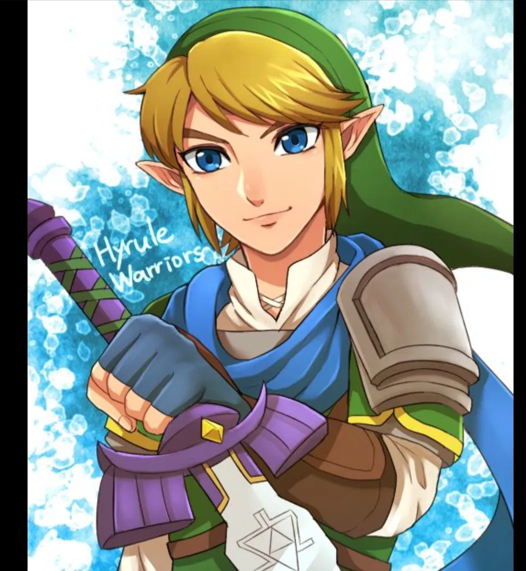 Avatar of Link || Hyrule Warriors Continuity