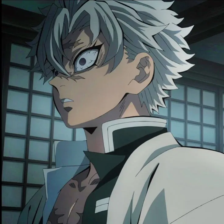 Avatar of Sanemi Shinazugawa