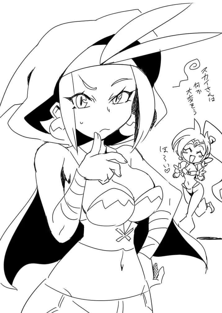 Avatar of Shantae and Sky: Story