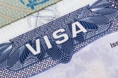Avatar of Breeding Visa Program