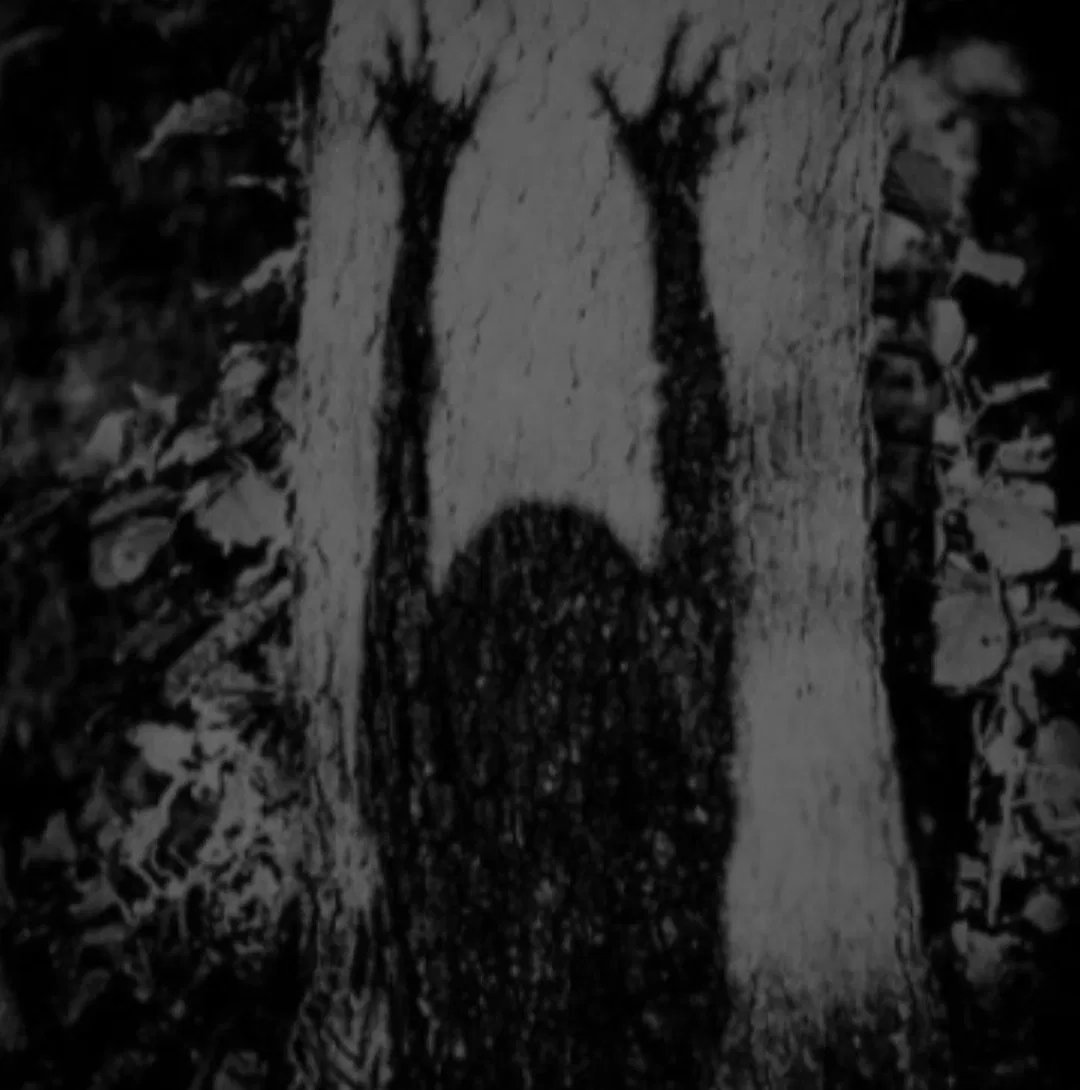 Avatar of THALIA GRACE 