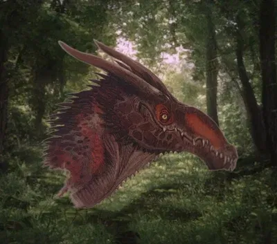 Avatar of -Vulcan Amphiptere-