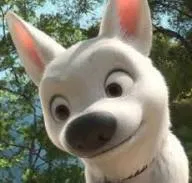 Avatar of Bolt the dog