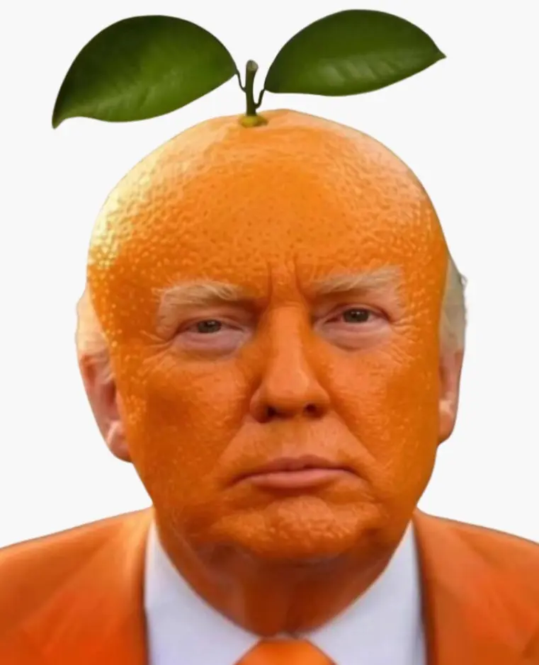 Avatar of Trumpy dumpy