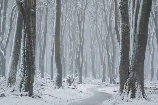 Avatar of Alien Apocalypse - Winter Season