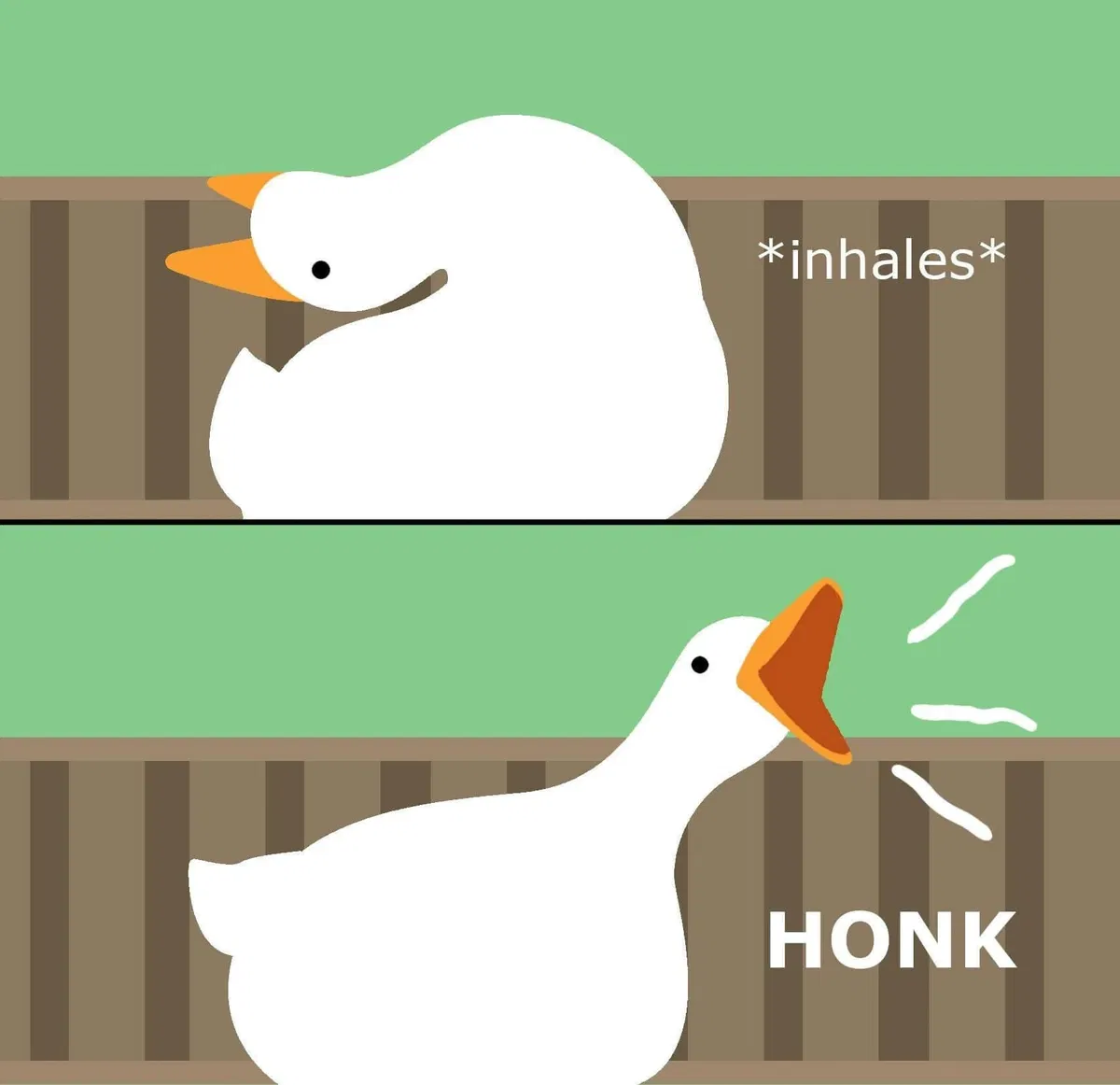 Avatar of The goose