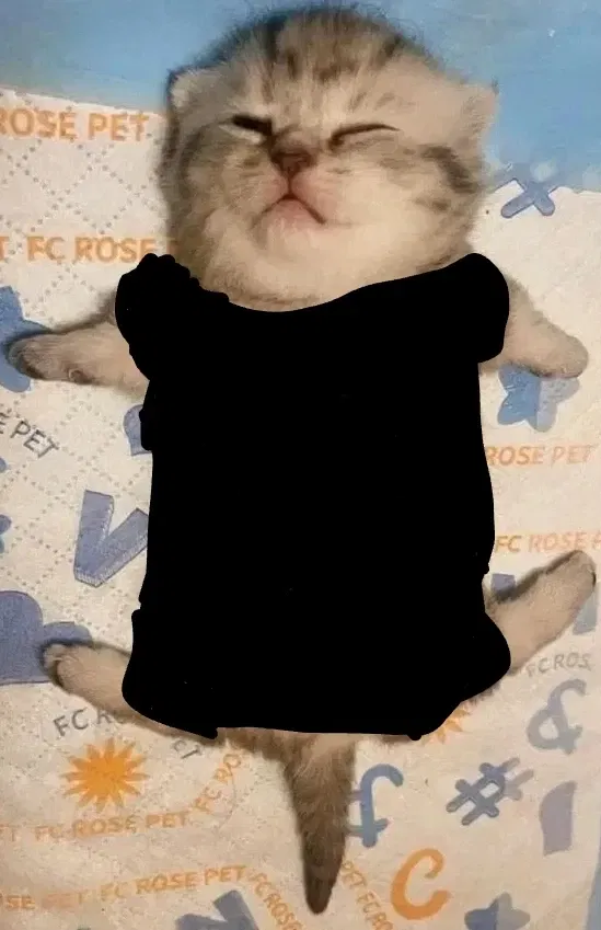 Avatar of [WIP] "Snuffles" the amnesia affected palico