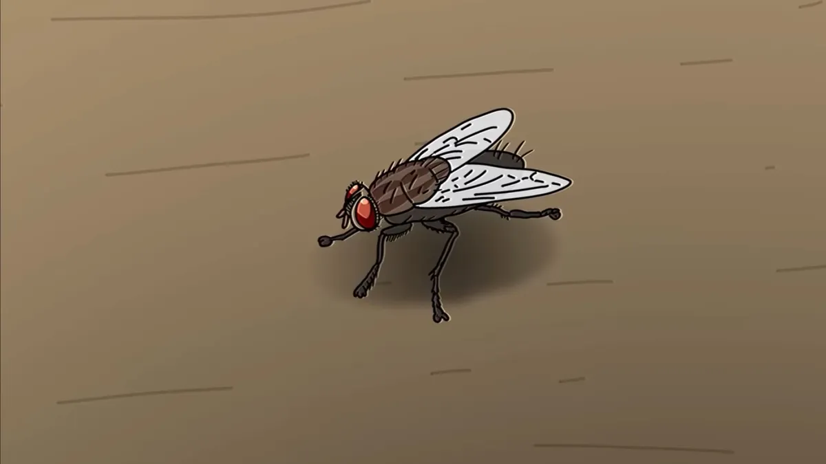 Avatar of A Fly