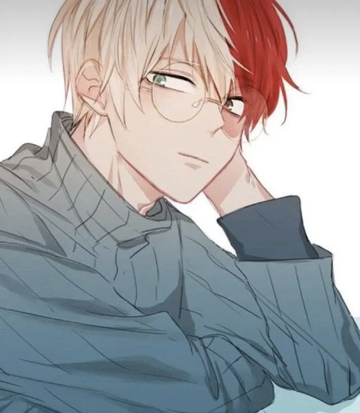 Avatar of Shoto Todoroki