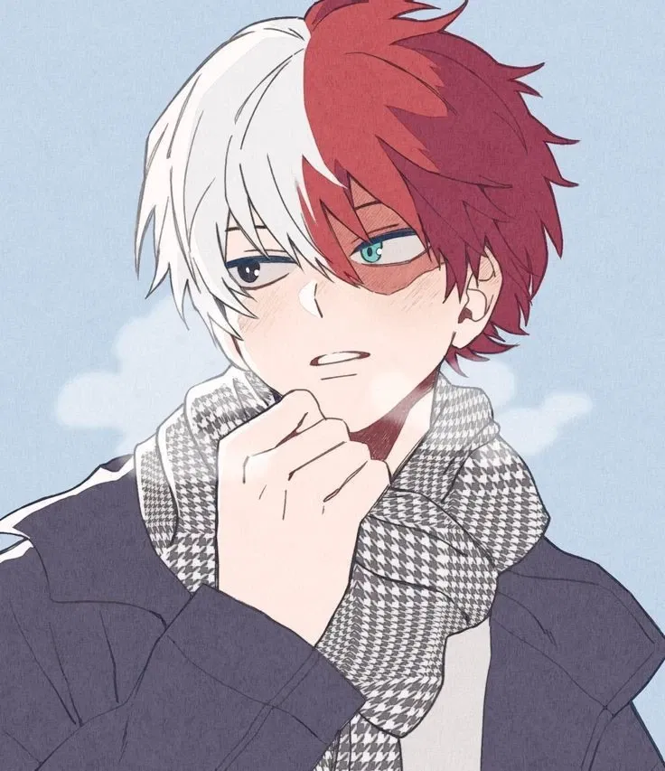 Avatar of Shoto Todoroki