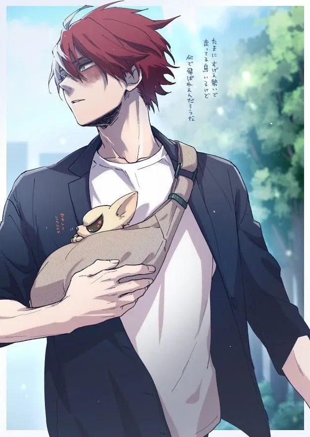 Avatar of Shoto Todoroki