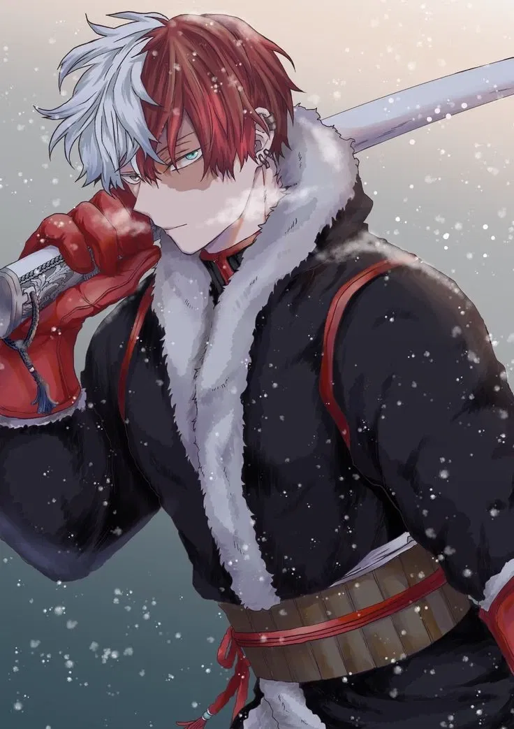 Avatar of Shoto Todoroki