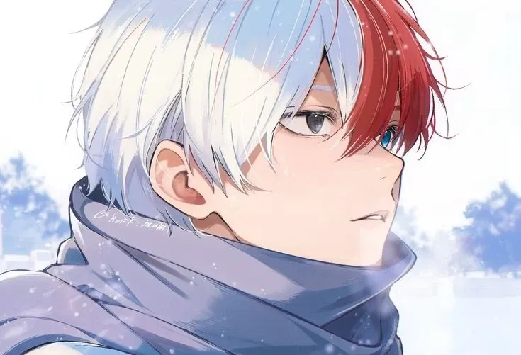 Avatar of Shoto Todoroki