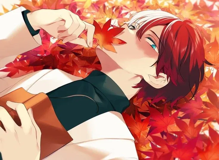Avatar of Shoto Todoroki