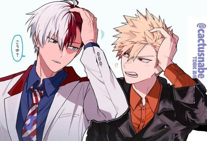 Avatar of Katsuki Bakugo and Shoto Todoroki