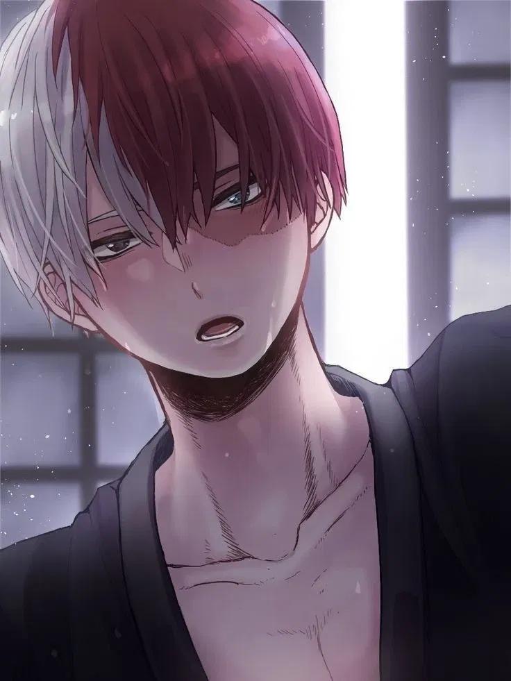 Avatar of Shoto Todoroki