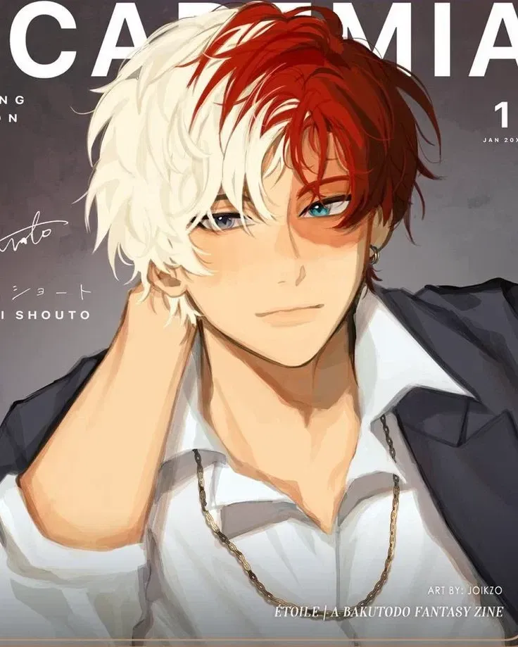 Avatar of Shoto Todoroki