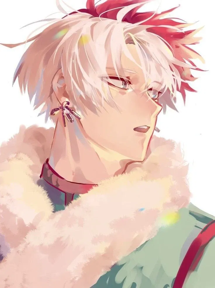 Avatar of Shoto Todoroki