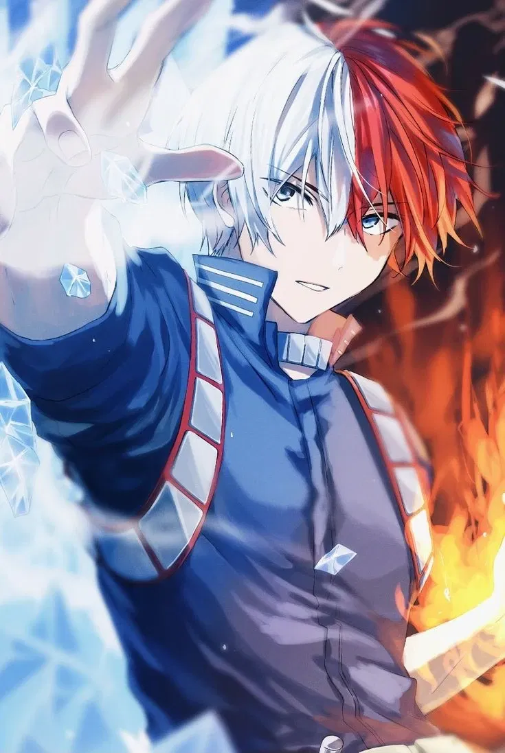 Avatar of Shoto Todoroki