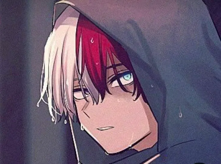 Avatar of Shoto Todoroki