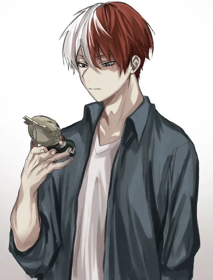 Avatar of Shoto Todoroki