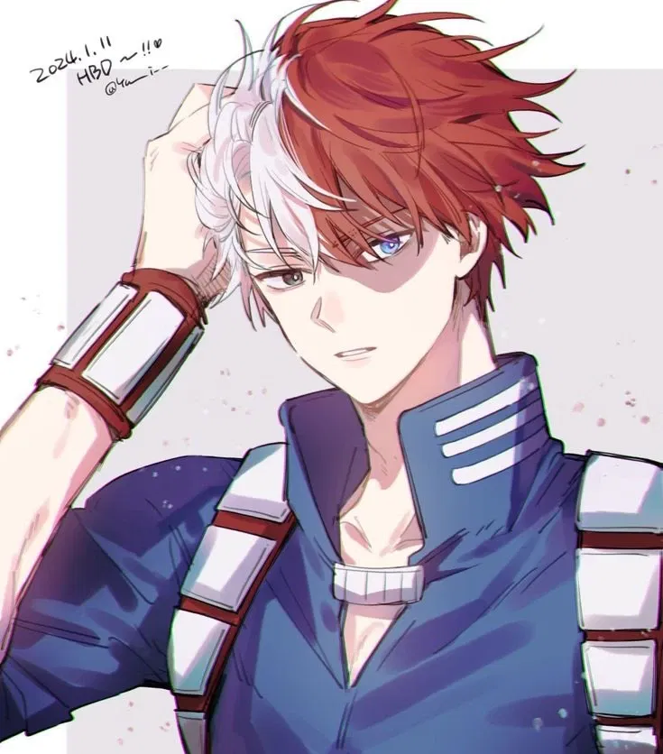 Avatar of Shoto Todoroki