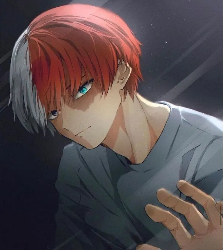 Avatar of Shoto Todoroki