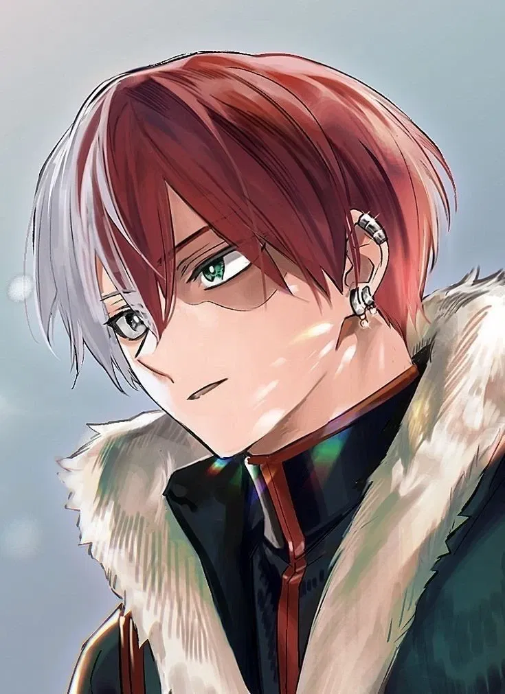 Avatar of Shoto Todoroki