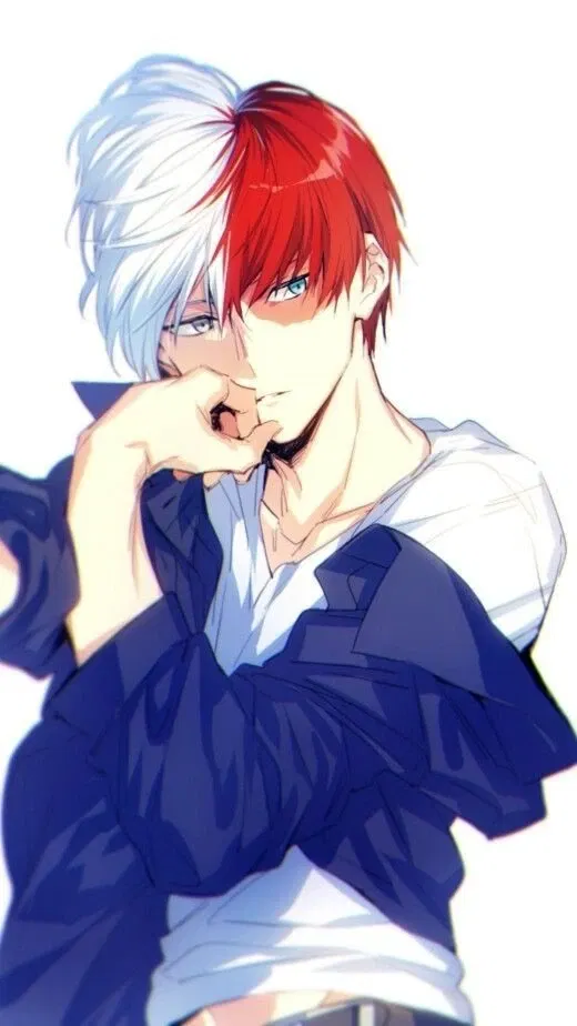 Avatar of Shoto Todoroki