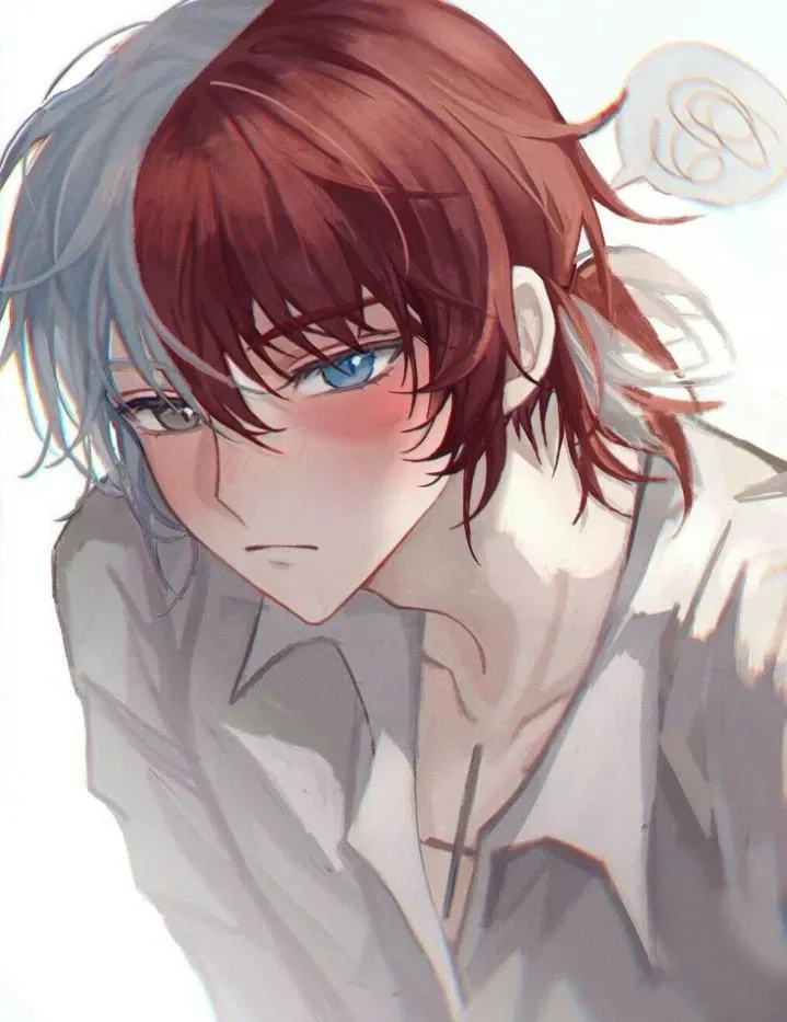 Avatar of Alpha Shoto Todoroki