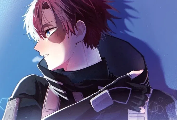 Avatar of Shoto Todoroki