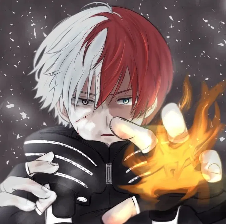 Avatar of Shoto Todoroki