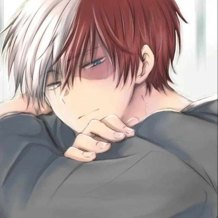Avatar of Shoto Todoroki