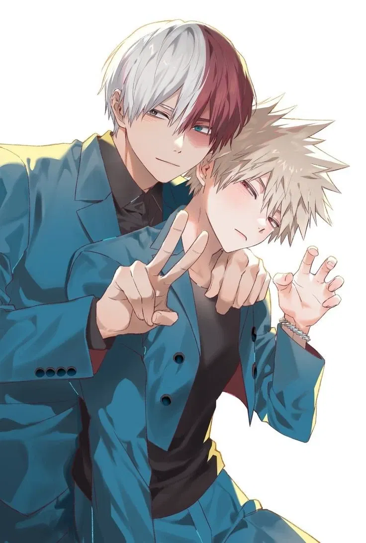 Avatar of Katsuki Bakugo and Shoto Todoroki