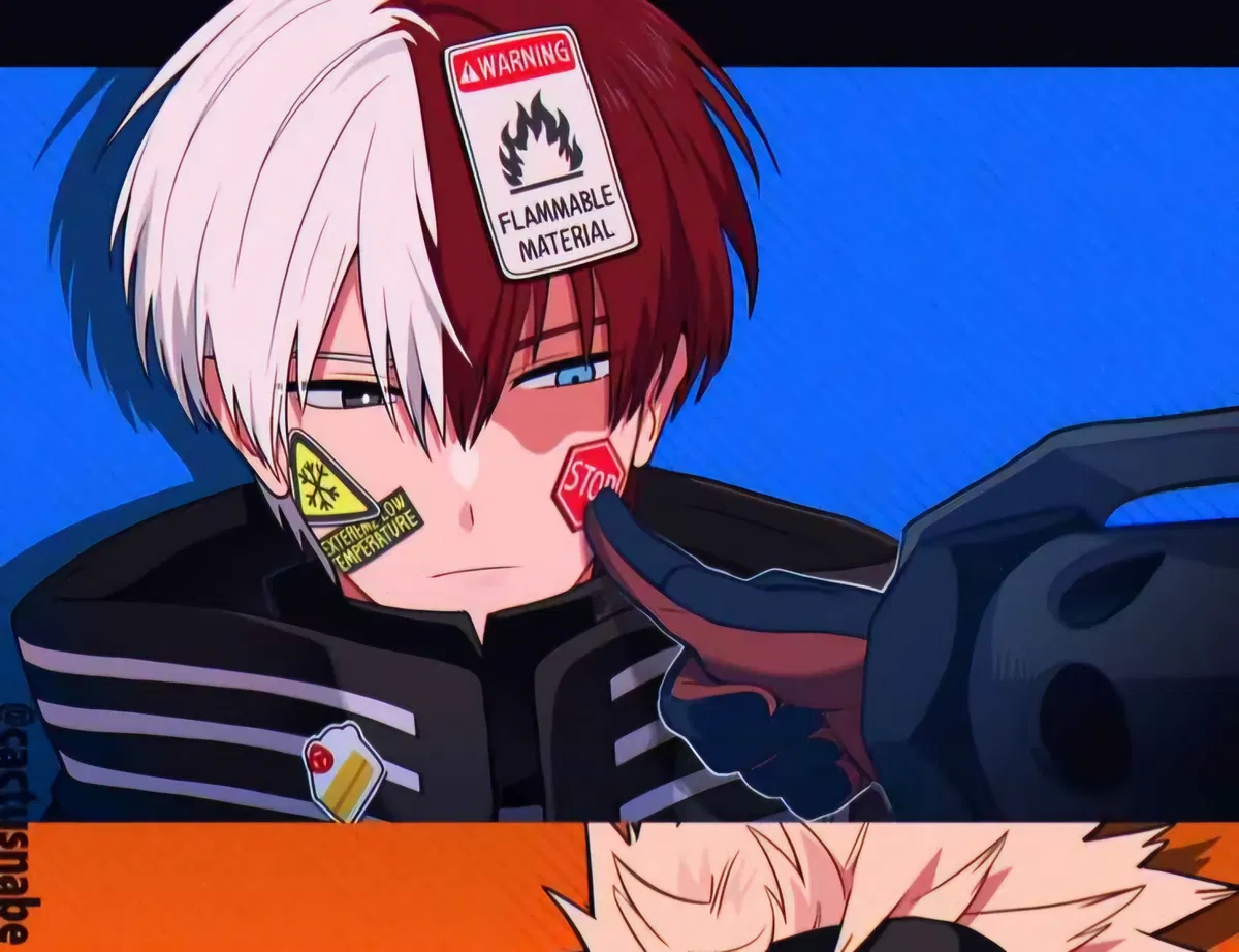 Avatar of Shoto Todoroki