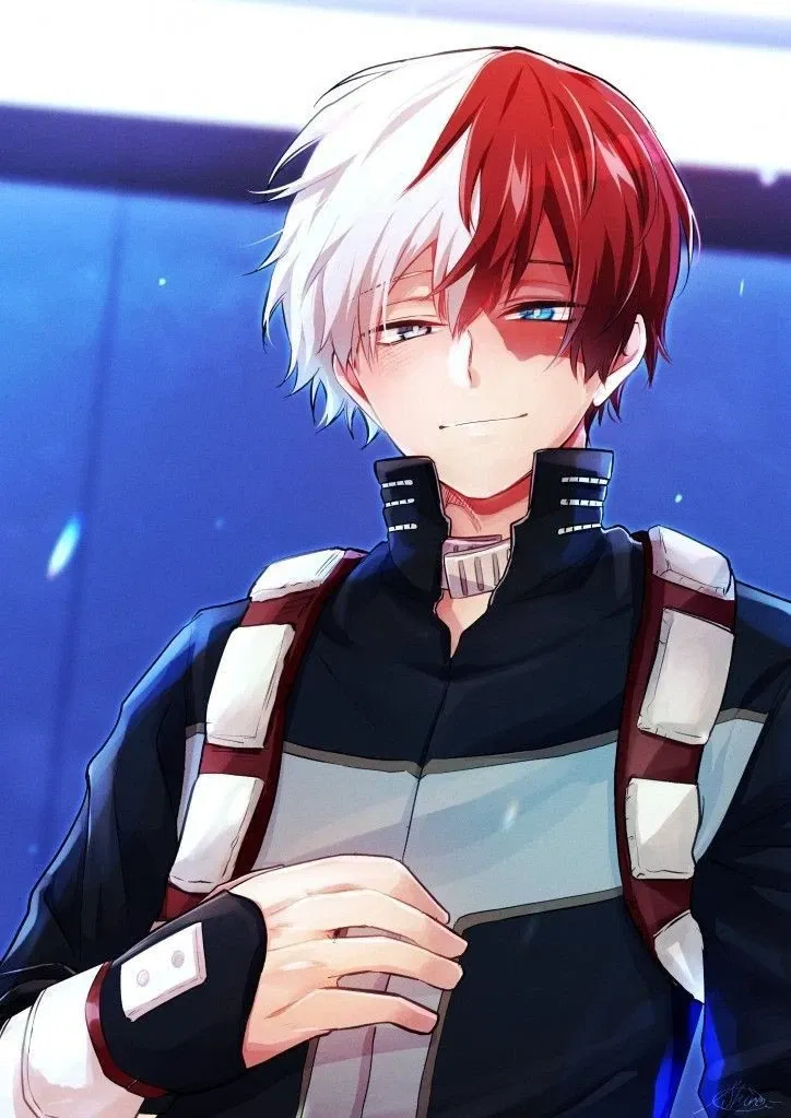 Avatar of Shoto Todoroki
