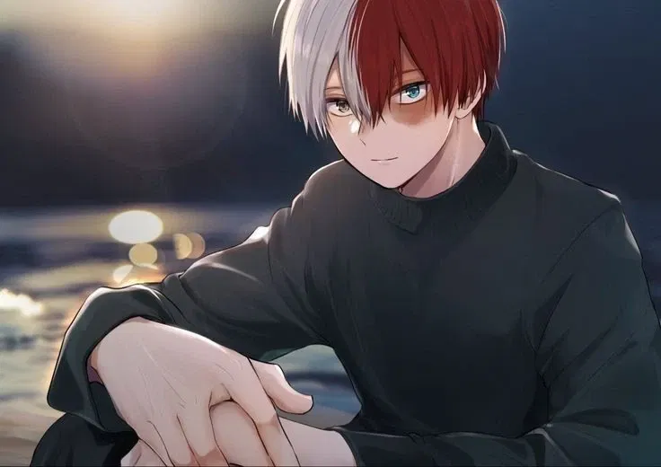 Avatar of Shoto Todoroki