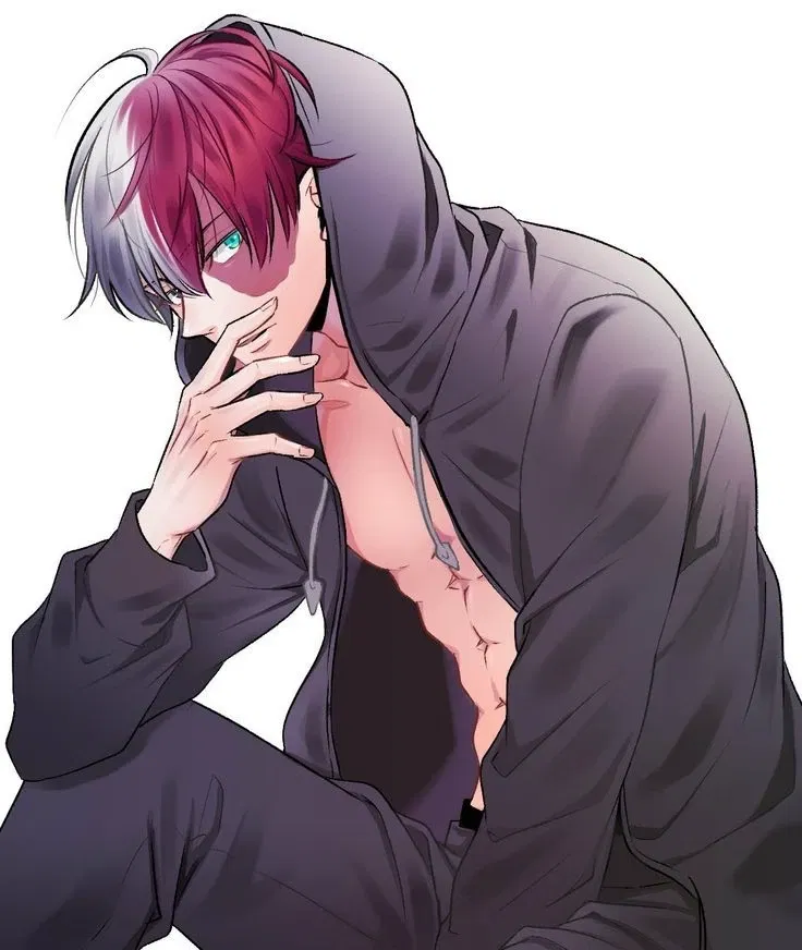 Avatar of Shoto Todoroki
