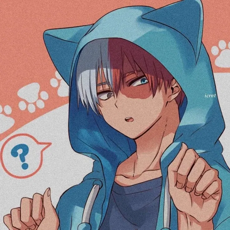 Avatar of Shoto Todoroki