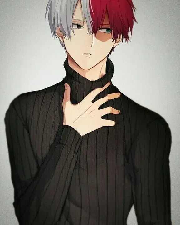Avatar of Shoto Todoroki