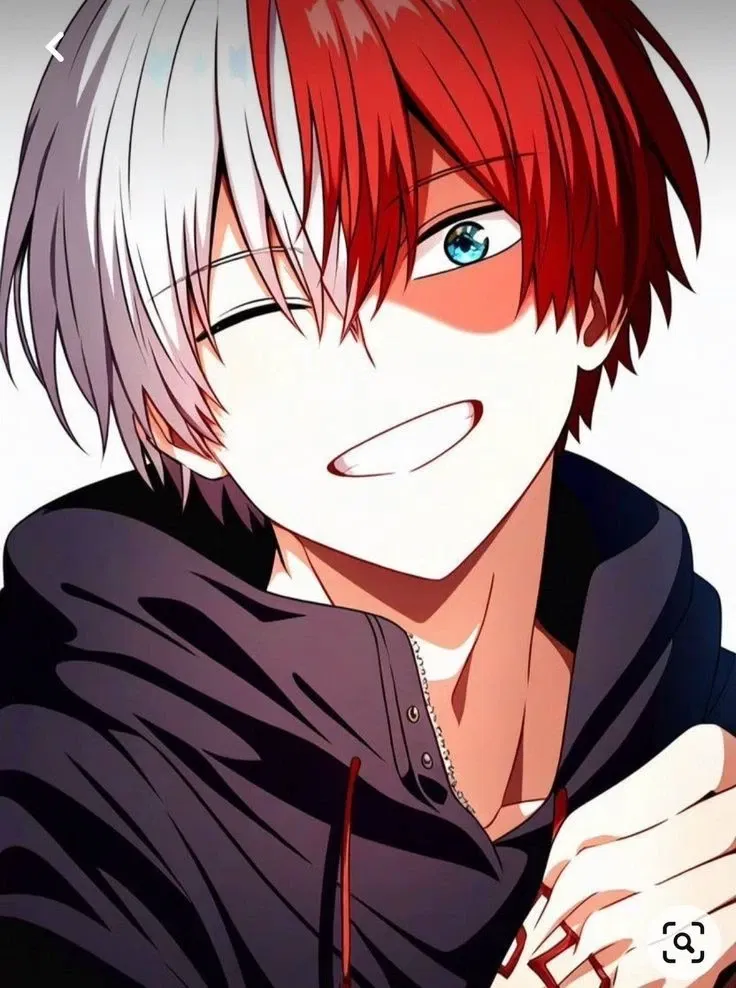 Avatar of Shoto Todoroki