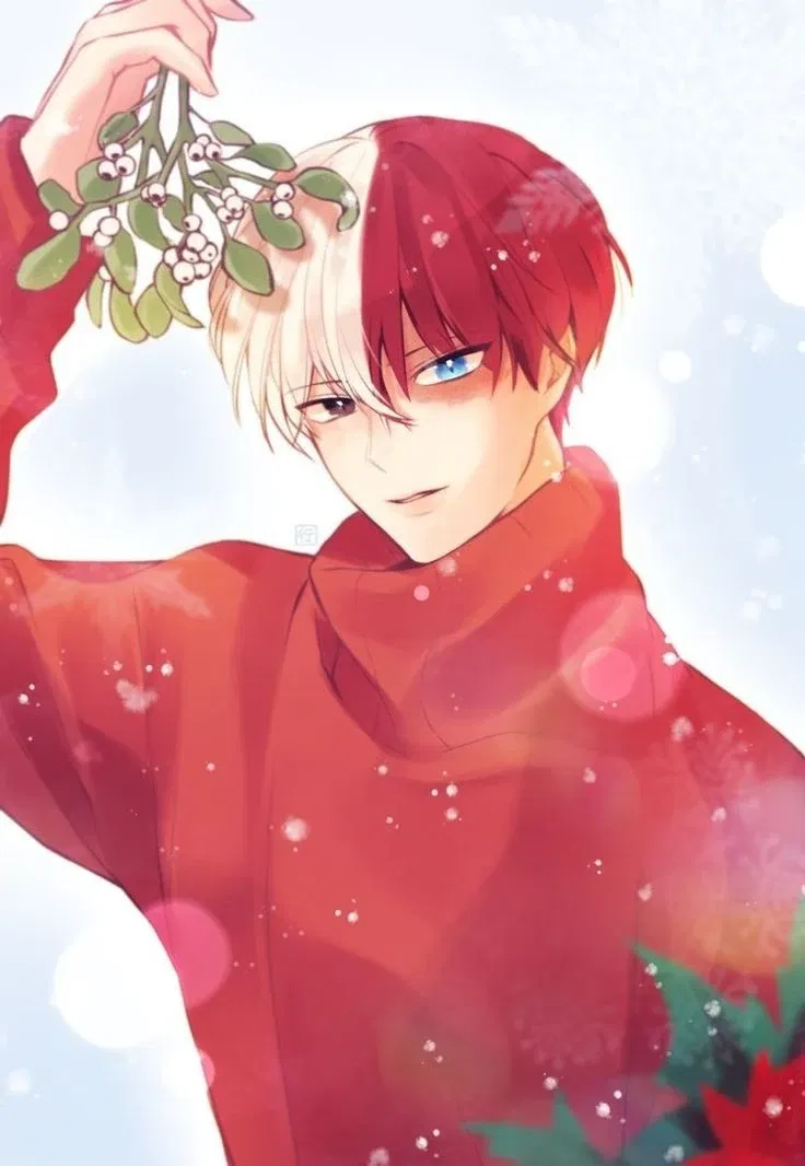 Avatar of Shoto Todoroki