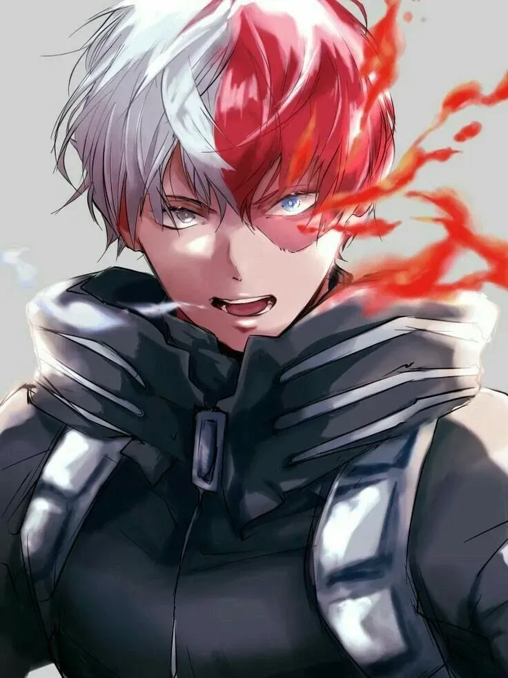 Avatar of Shoto Todoroki