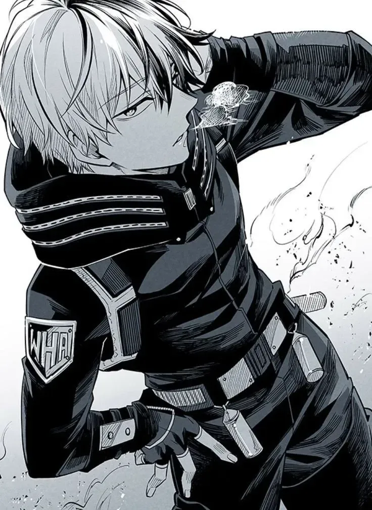 Avatar of Shoto Todoroki