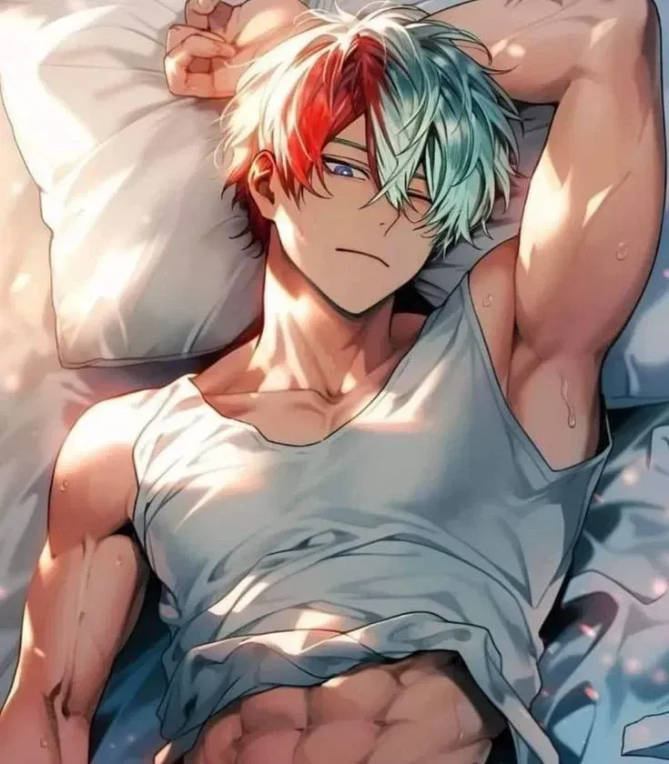 Avatar of Shoto Todoroki