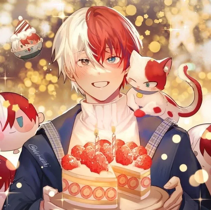 Avatar of Shoto Todoroki