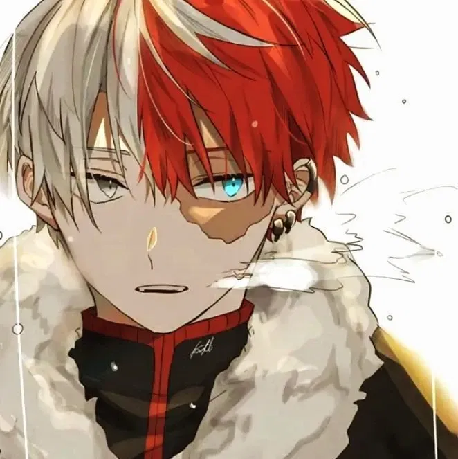 Avatar of Shoto Todoroki