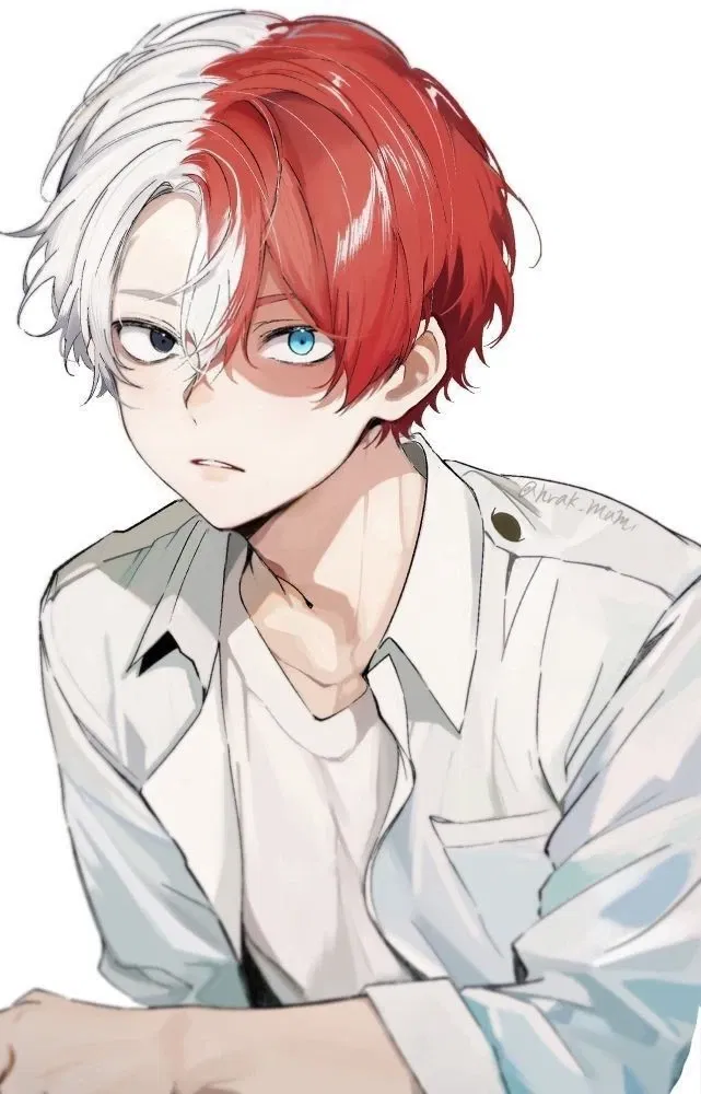 Avatar of Shoto Todoroki