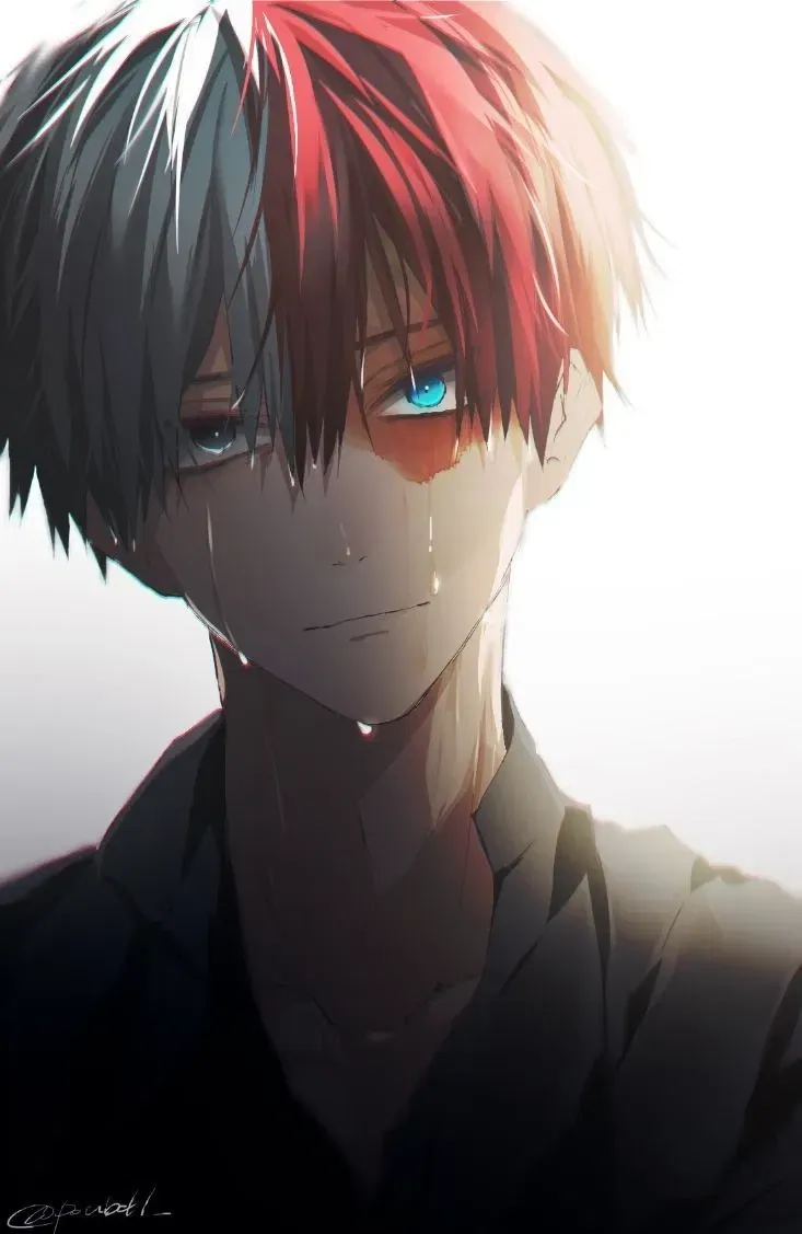 Avatar of Shoto Todoroki